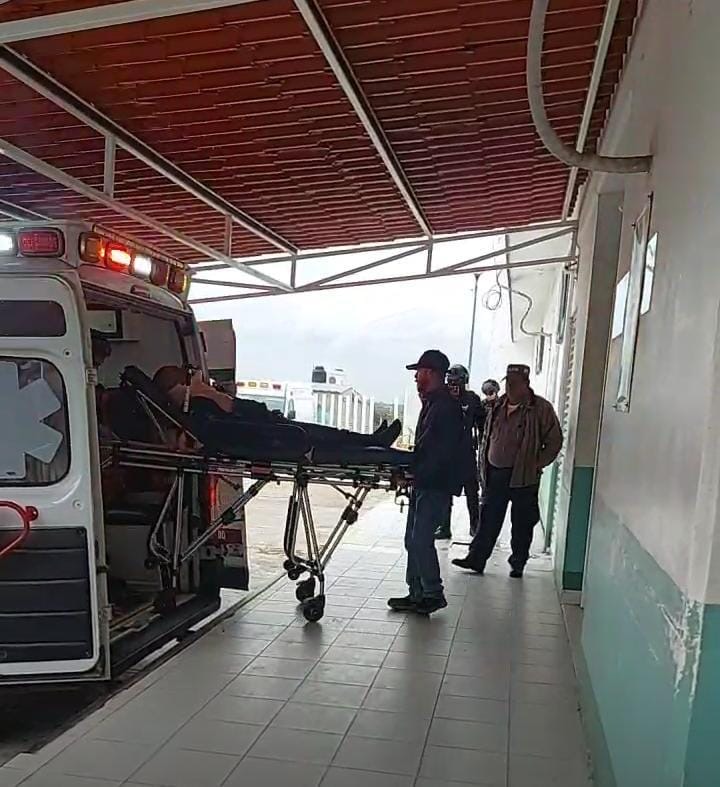 Galería