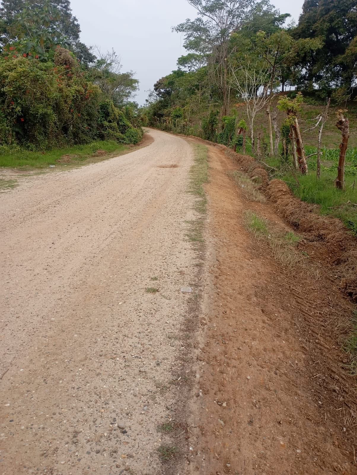 Galería