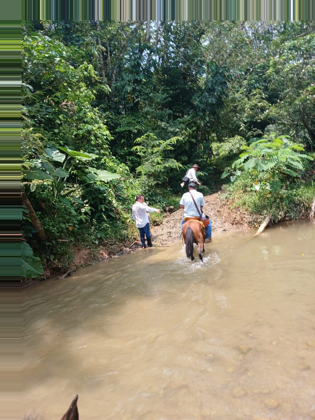 Detectan hidrocarburos en arroyos de Las Choapas; implementan acciones de contención y monitoreo
